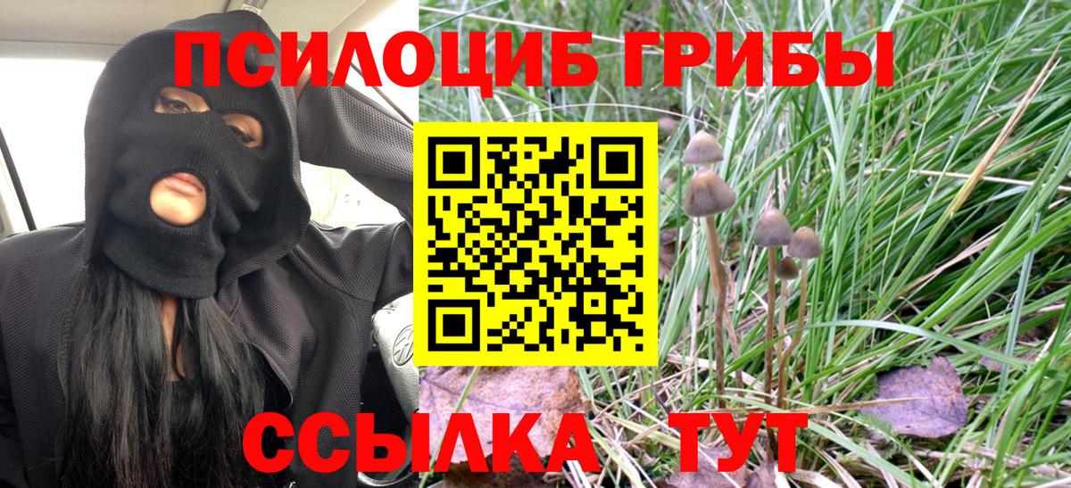 Галлюциногенные грибы Psilocybine cubensis Унеча