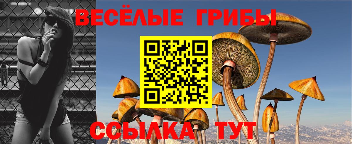 Псилоцибиновые грибы MAGIC MUSHROOMS  хочу наркоту  Унеча  Вход с VPN 