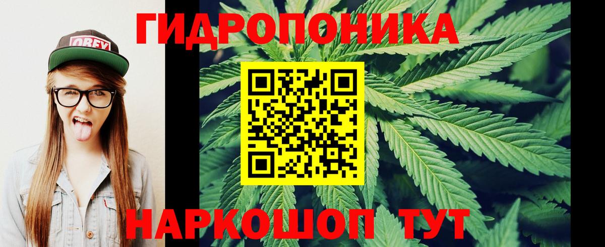 Унеча  Канабис LSD WEED  Вход с VPN  Бошки марихуана план 